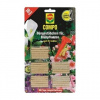 COMPO Düngestäbchen plus Guano für Blühpflanzen (30 St.)