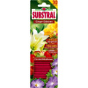 Substral Dünger-Stäbchen für Blühpflanzen (30 St.)