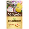 Naturen Gelbstecker (15 St.)