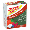 Dextro Energy Schulstoff Waldfrucht (50 g)