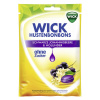 WICK Schwarze Johannisbeere & Holunder zuckerfrei (72 g)