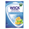 WICK Vapocool Honig & Natürliches Menthol (72 g)