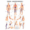 Miniposter "Taping Basistechniken I" (1 St.)