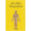 Hempen: dtv-Atlas Akupunktur (Buch)