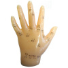 Akupunktur Handmodell (1 St.)