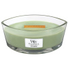 WoodWick Duftkerze "Ellipse Glass" Applewood (1 St.)