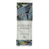 pajoma Ätherisches Öl "Modern Line" Eukalyptus (10 ml)