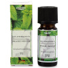 pajoma Ätherisches Öl "Modern Line" Melisse Indicum (10 ml)