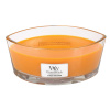 WoodWick Duftkerze "Ellipse Glass" Ginger Macaron (1 St.)