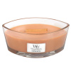 WoodWick Duftkerze "Ellipse Glass" Pumpkin Butter (1 St.)