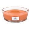 WoodWick Duftkerze "Ellipse Glass" Pumpkin Muffins (1 St.)